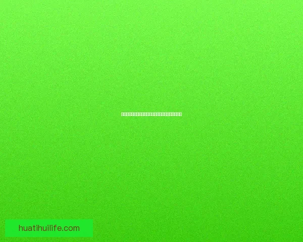 华体会欧洲杯赛事热点全解析与球队实力前瞻精彩盘点